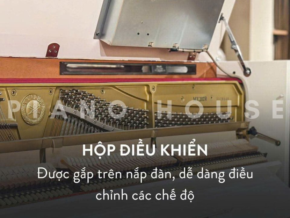 Hình ảnh chi tiết YAMAHA MX202R WH góc chụp 7